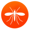 ivon mosquito]